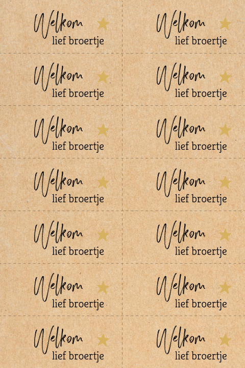 DIY label kraft 7x3cm - Welkom lief broertje