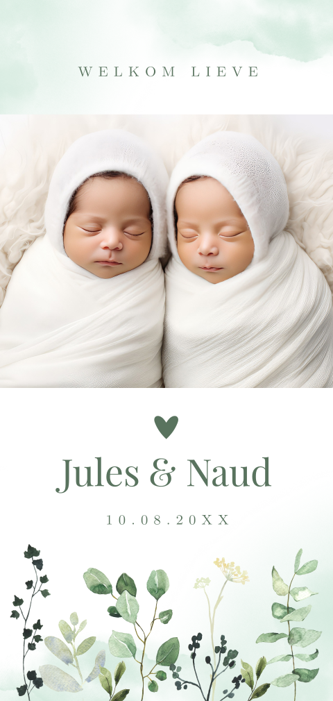 Geboortekaartje tweeling jongens eigen foto blaadjes groen
