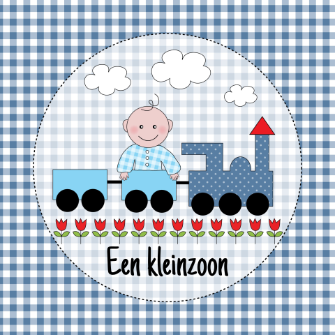 Felicitatie kaart kleinzoon baby in treintje blauw ruitjes