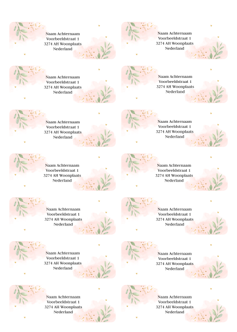 Adressticker floral bladeren roze | 14 stuks 97X34 mm