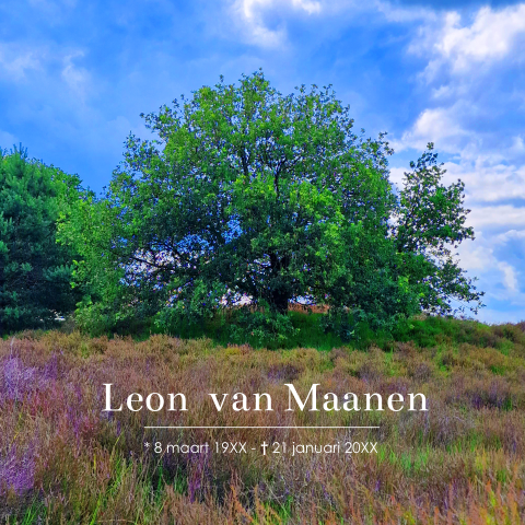 Rouwkaart prachtige boom op de heide met natuur thema