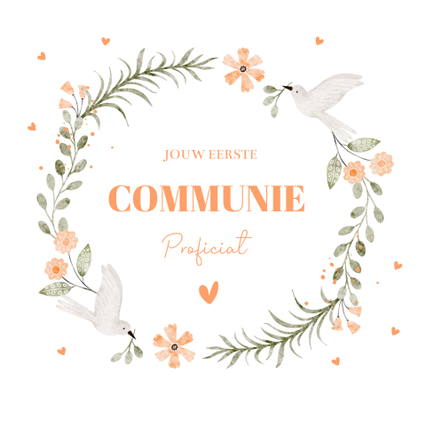Felicitatie communie kaart meisje bloemenkrans vogels roze