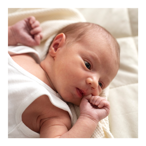 Fotolabel 9 stuks | 5,5 x 5,5 cm