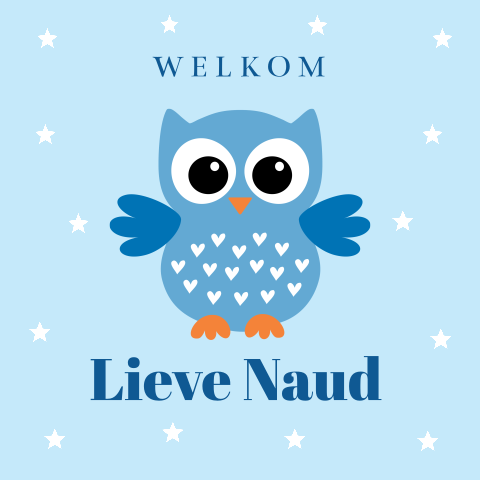 Felicitatie kaart geboorte zoon baby jongen uiltje blauw