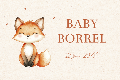 Babyborrel kaartje met lief vosje