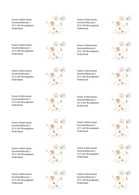 Adresstickers witte beige bloemen vlinder