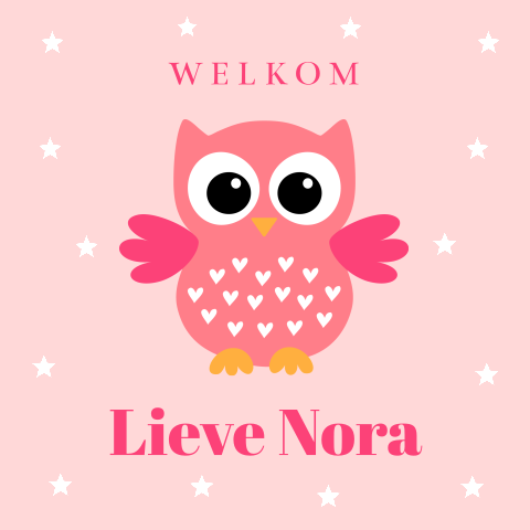 Felicitatie kaart geboorte dochter baby meisje uiltje roze