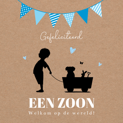 Felicitatie kaart geboorte zoon baby jongen silhouet kar slinger blauw