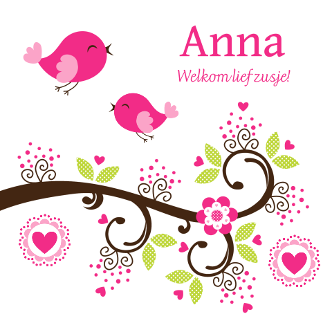 Geboortekaartje zusje vogels