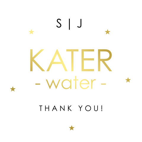 Sticker katerwater goudfolie | 12 stuks