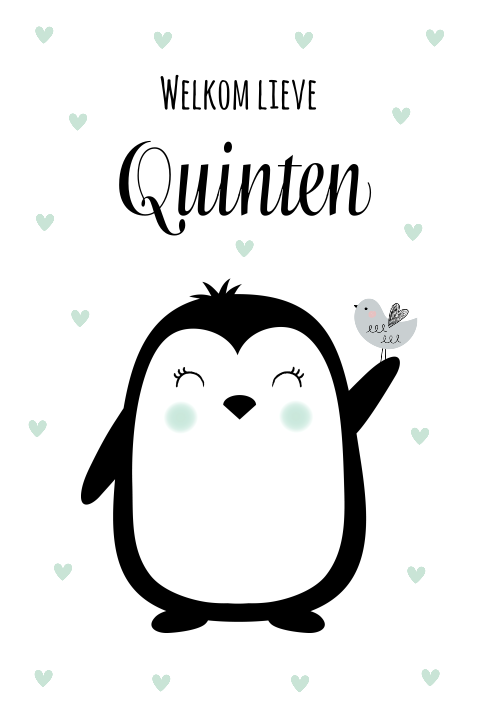 Geboortekaartje jongen pinguin