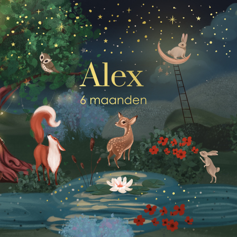 Mijlpaalkaart baby eerste jaar bosdieren sprookjesbos goudfolie