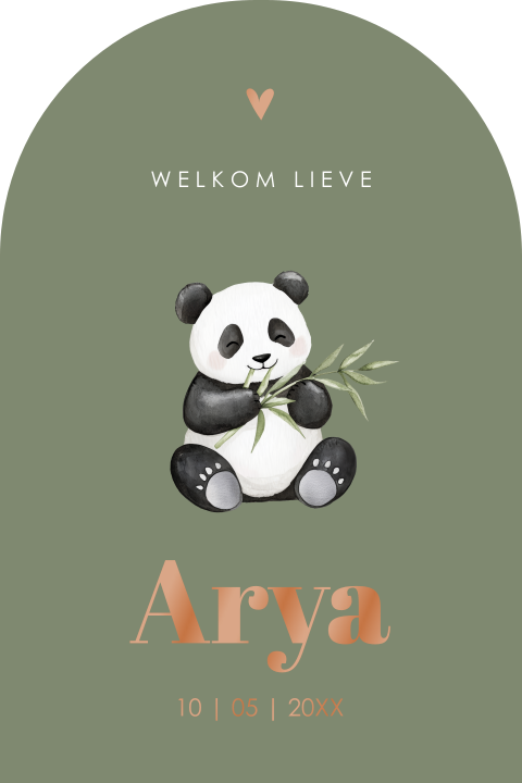 Geboortekaartje jongen pandabeer groen boog hoogglans