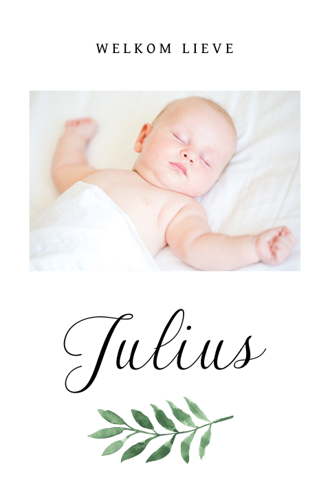 Kerst geboortekaartje