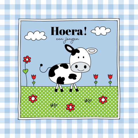 Felicitatie kaart geboorte zoon baby koe weiland dieren blauw