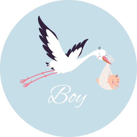 Sluitstickers jongen blauw ooievaar | 25 stuks