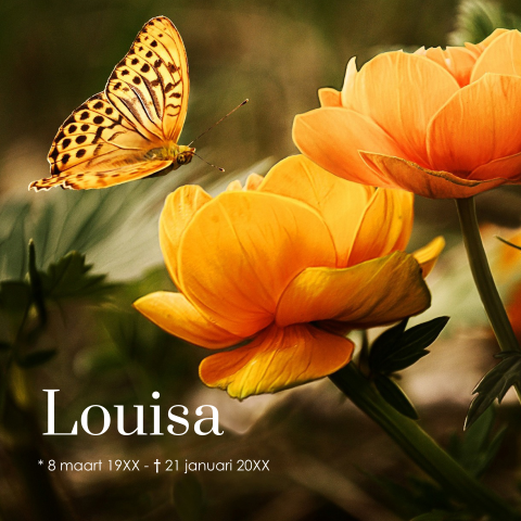 Rouwkaart vrouw bloemen vlinder geel oranje