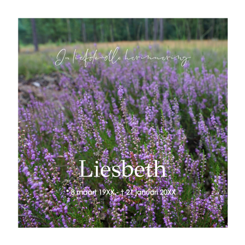 Rouwkaart met mooie natuurfoto van paarse heide
