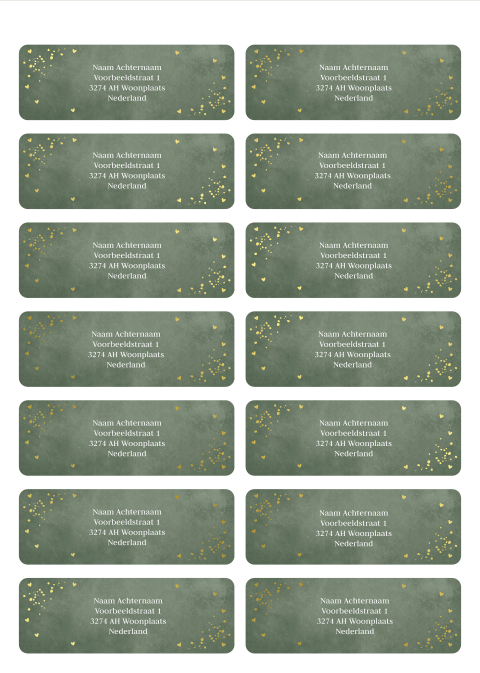 Adresstickers groen confetti goudfolie | 14 stuks 97X34 mm