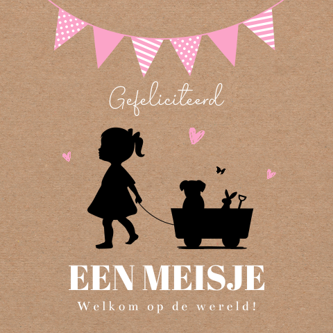 Felicitatie kaart geboorte dochter baby meisje silhouet slinger roze