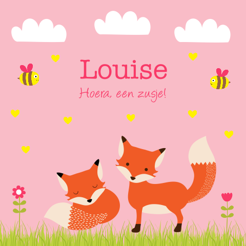 Geboortekaartje zusje vosjes
