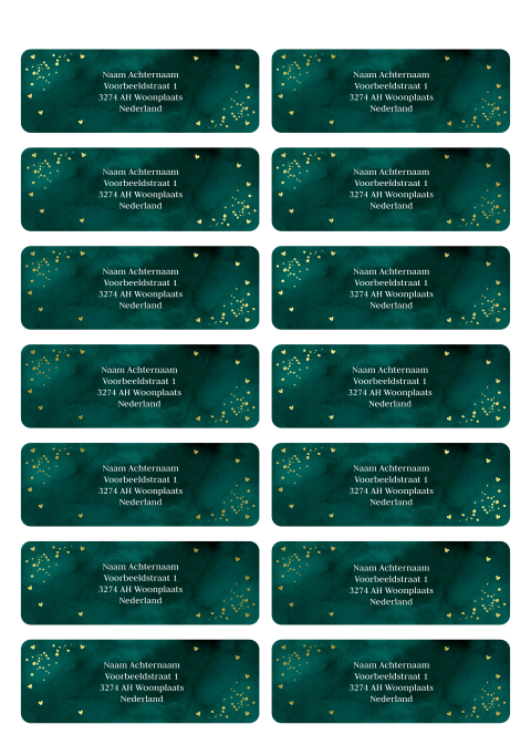 Adresstickers donkergroen confetti foliedruk | 14 stuks 97X34 mm