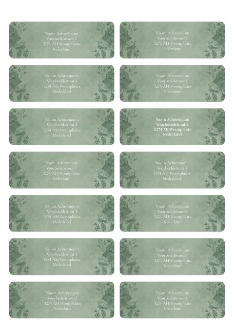 Adresstickers groen botanisch floral | 14 stuks 97X34 mm