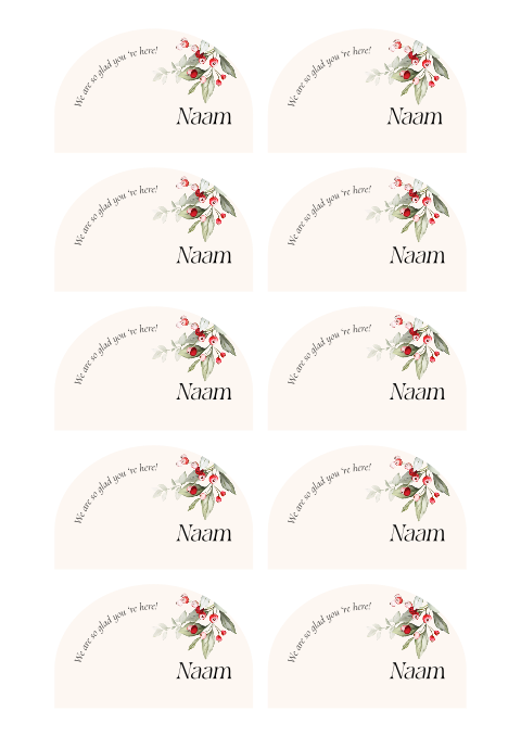 Naamkaartjes plaatskaartjes kerst maretak groen rood boog vorm