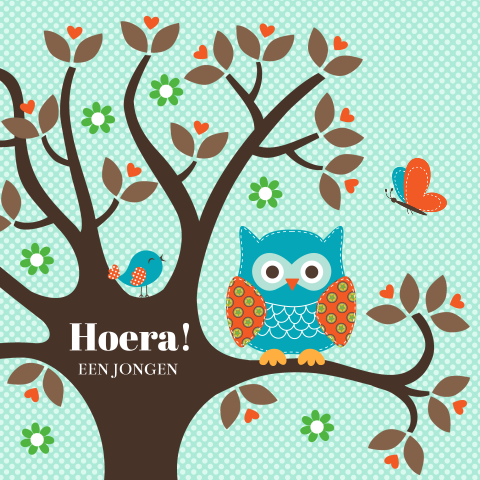 Felicitatiekaart geboorte zoon baby jongen dieren uiltje boom groen