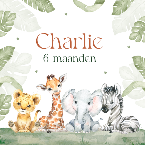 Mijlpaalkaart baby eerste jaar jungle dieren