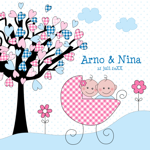 Geboortekaartje tweeling meisje jongen roze blauw kinderwagen baby