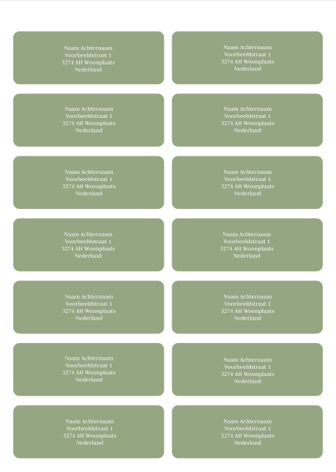 Adresstickers olijfgroen | 14 stuks 97X34 mm