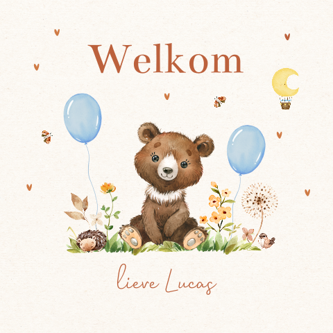 Felicitatie geboorte jongen met lief beertje en ballonnen