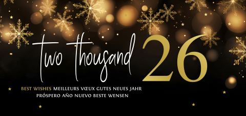 Luxe kerstkaart zwart panorama sneeuwvlokken goudfolie