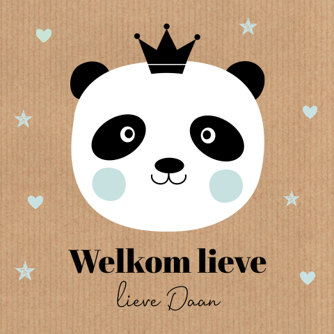 Felicitatie kaart geboorte zoon baby jongen pandabeer sterren kraft