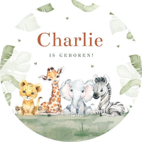 Raamsticker geboortekaartje jungle dieren rond