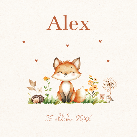 Geboortekaartje met lief vosje