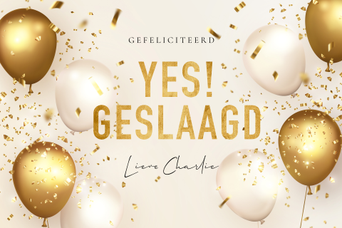 Geslaagd kaart felicitatie diploma ballonnen goud