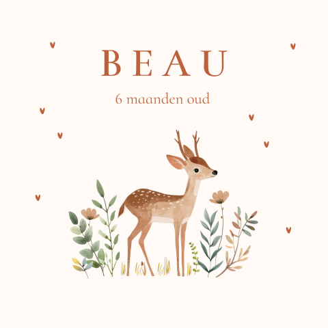 Mijlpaalkaart baby eerste jaar lief hertje