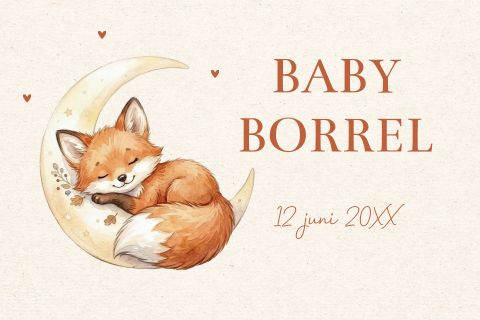 Babyborrel kaartje met lief vosje