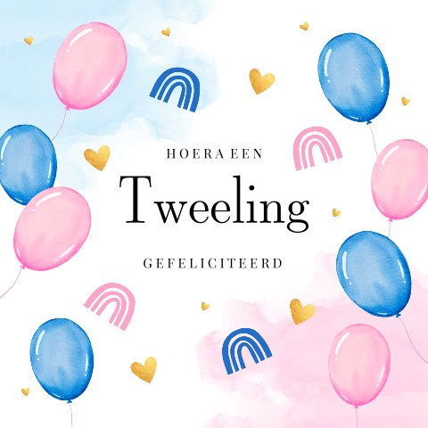 Felicitatie kaart tweeling ballonnen blauw roze