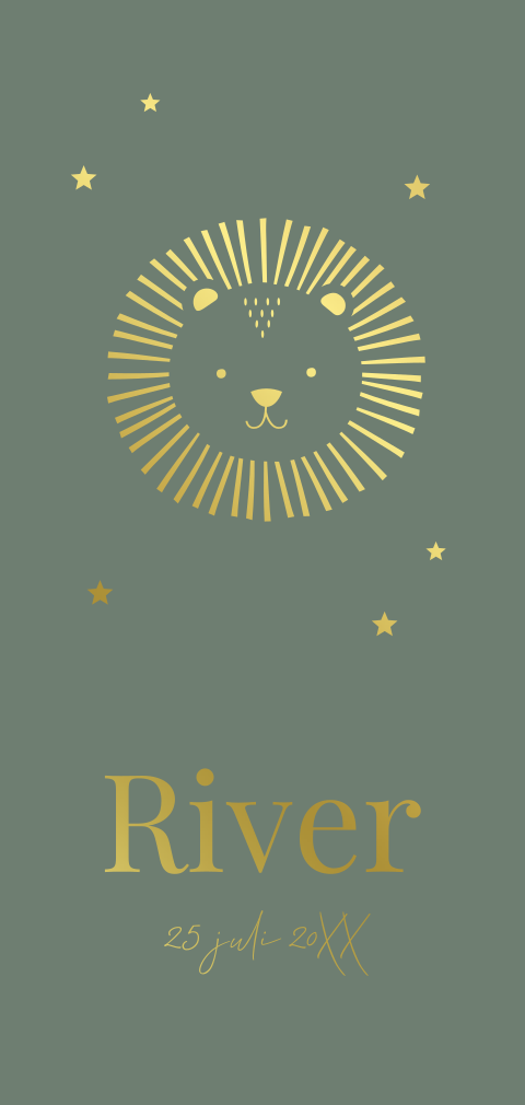 Geboortekaartje jongen groen leeuwtje sterren goudfolie