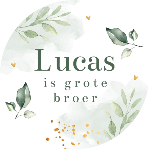 Stickers traktatie geboorte broertje botanisch | 25 stuks