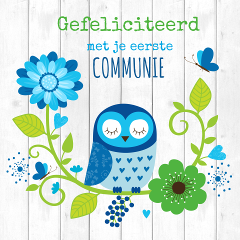 Felicitatie eerste communie kaart jongen uiltje blauw