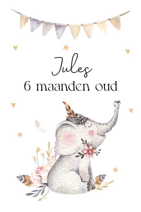Mijlpaalkaart baby eerste jaar olifantje slinger