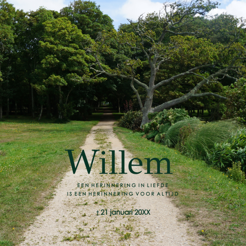 Rouwkaart bos landschap bomen groen met pad