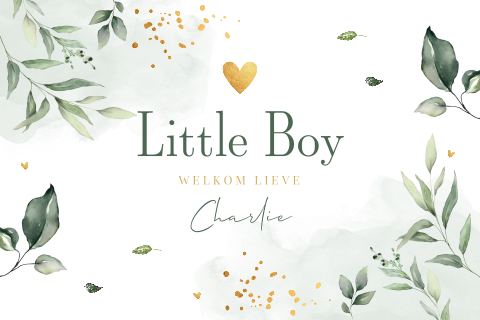 Felicitatie geboorte zoon baby jongen botanisch bladeren groen