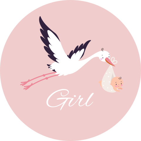 Sluitstickers meisje roze ooievaar | 25 stuks