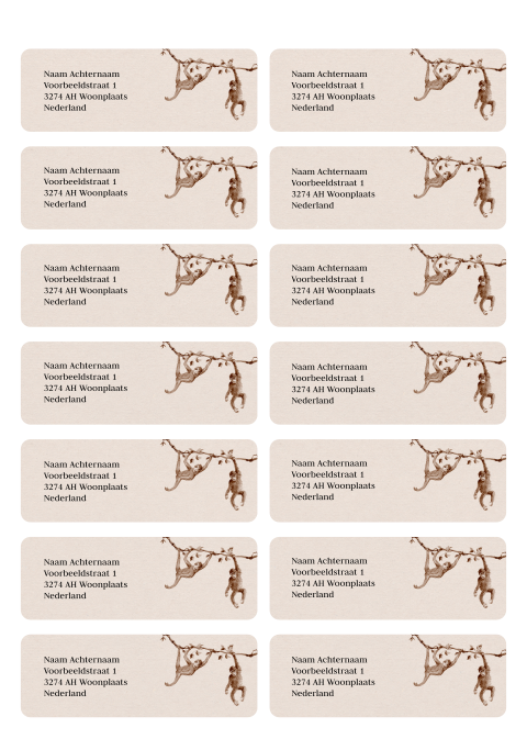 Adressticker aapjes beige | 14 stuks 97X34 mm