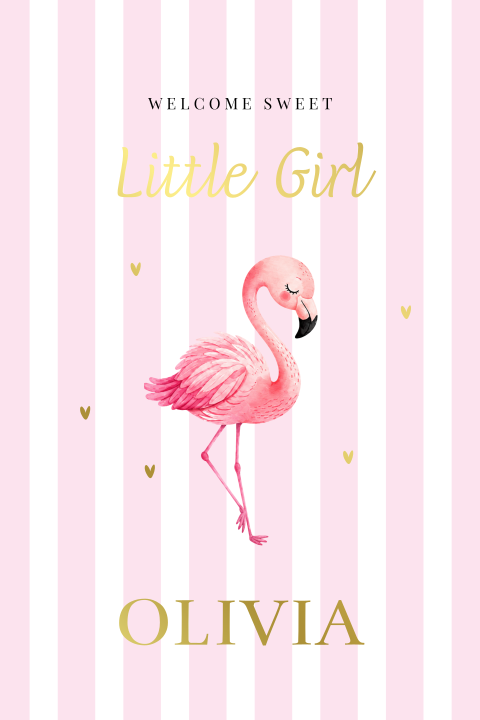 Felicitatie kaart geboorte dochter baby meisje flamingo  roze